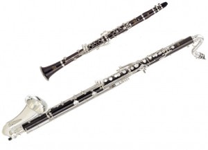 Clarinet and Bass Clarinet